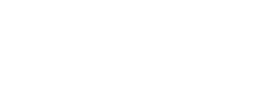 The Gold Connection LLC