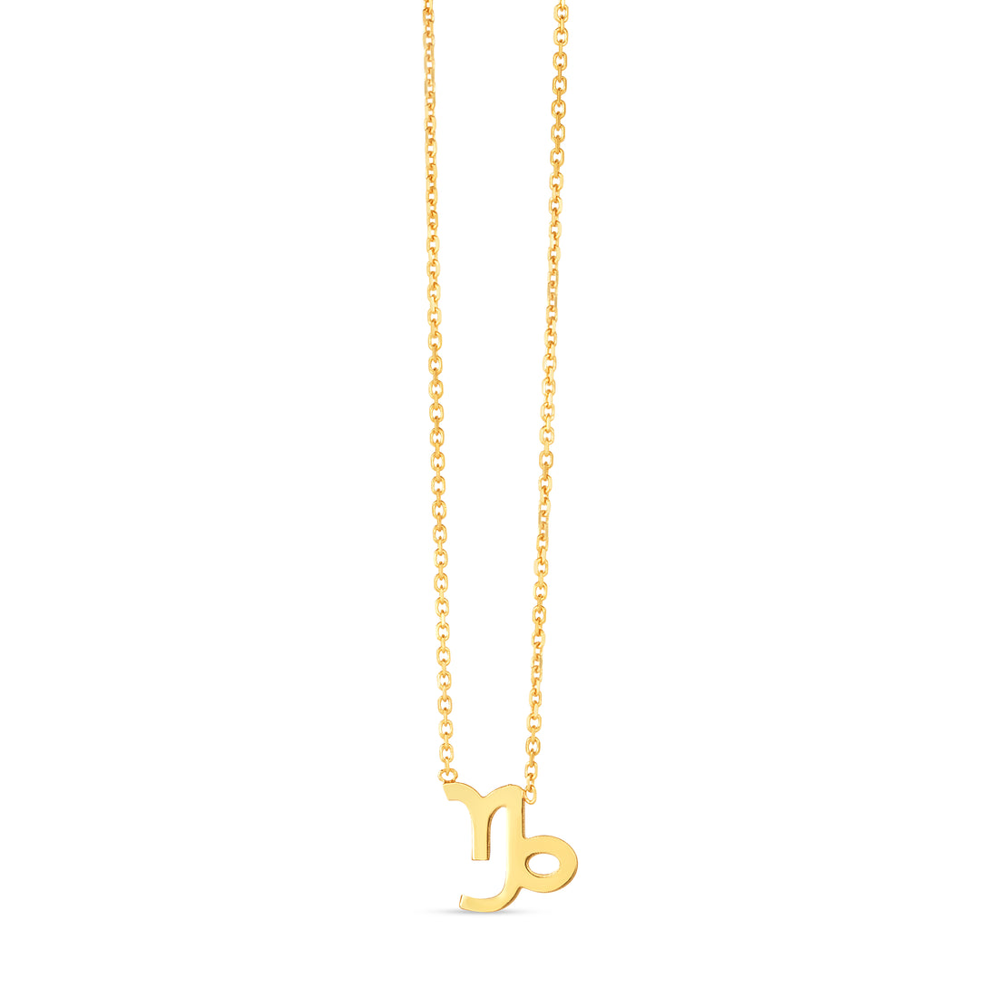 14K Gold Capricorn Necklace