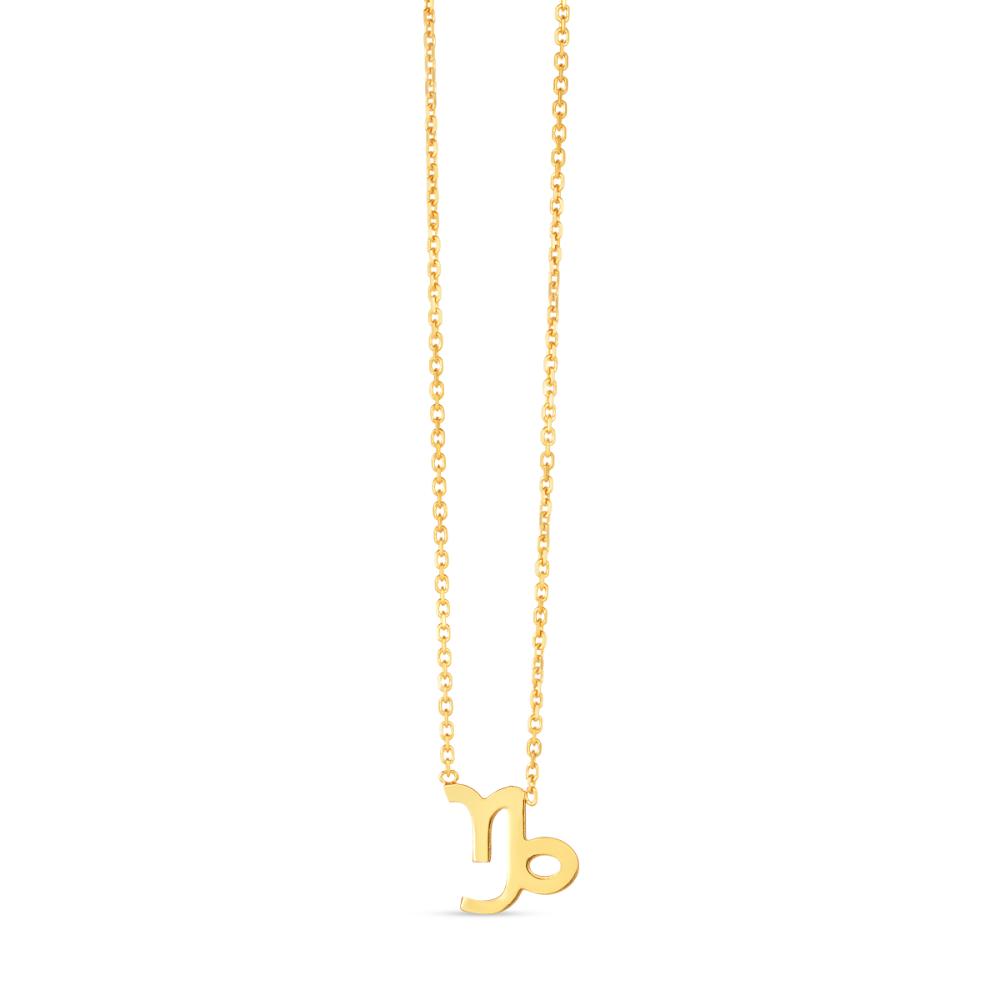 14K Gold Capricorn Necklace