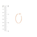 28mm x 19.5mm Oval Post Hoop Earrings