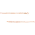 3.6mm Paper Clip Chain with Pear Lobster