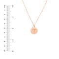 Aries Organic Disc Pendant Necklace
