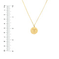 Aries Organic Disc Pendant Necklace