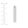 Long Vertical Bar Engravable Charm