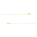 0.55mm Box Chain with Spring Ring and Q-Tag