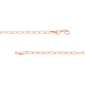 2.45mm Paper Clip with Lobster Lock
