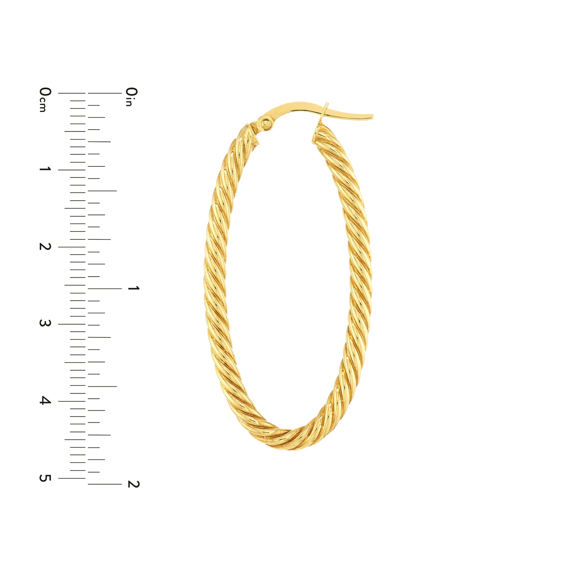 Oval Rope Twist Hoop Earrings