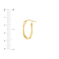 Curved Oval Hoop Earrings