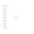 Square Tube Round Hoop Earrings