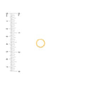 Square Tube Round Hoop Earrings