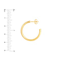 20mm D-Tube Round Hoop Earrings