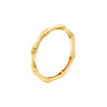 Dainty Bamboo Band